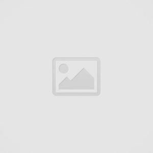 Registerd User (Free - Business User)